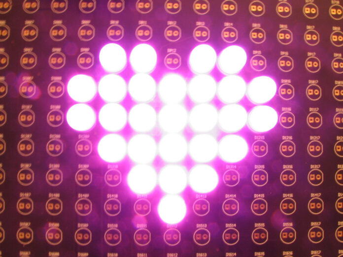 heart of LEDs
