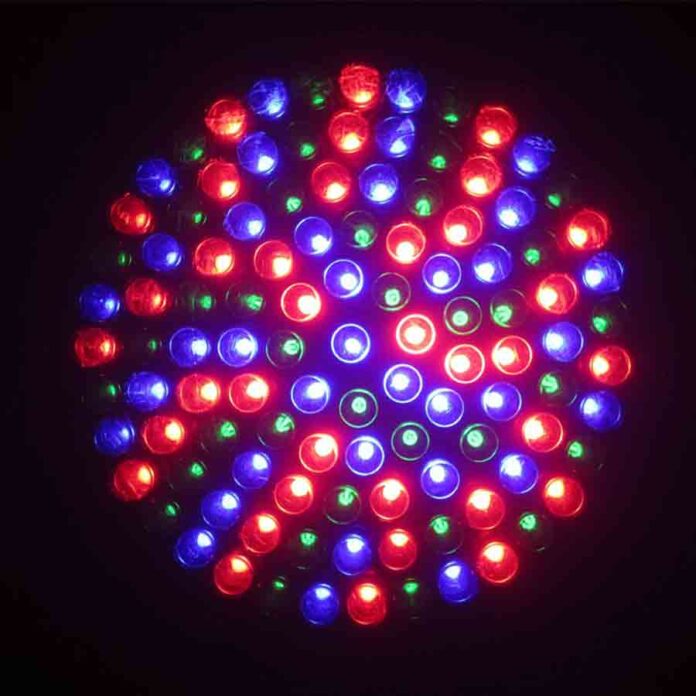 led health risks